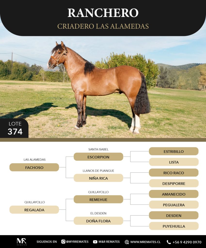 Catalogo_Criadero_Las_Alamedas-3_page-0011