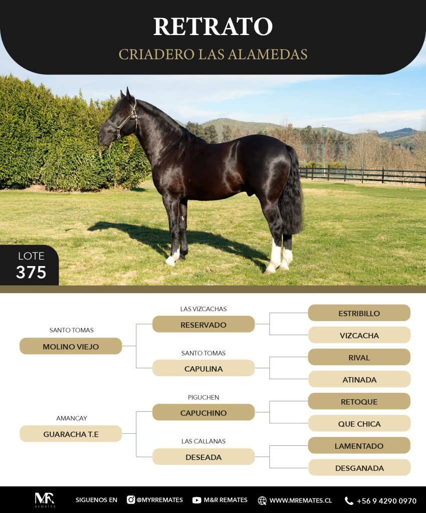 Catalogo_Criadero_Las_Alamedas-3_page-0013