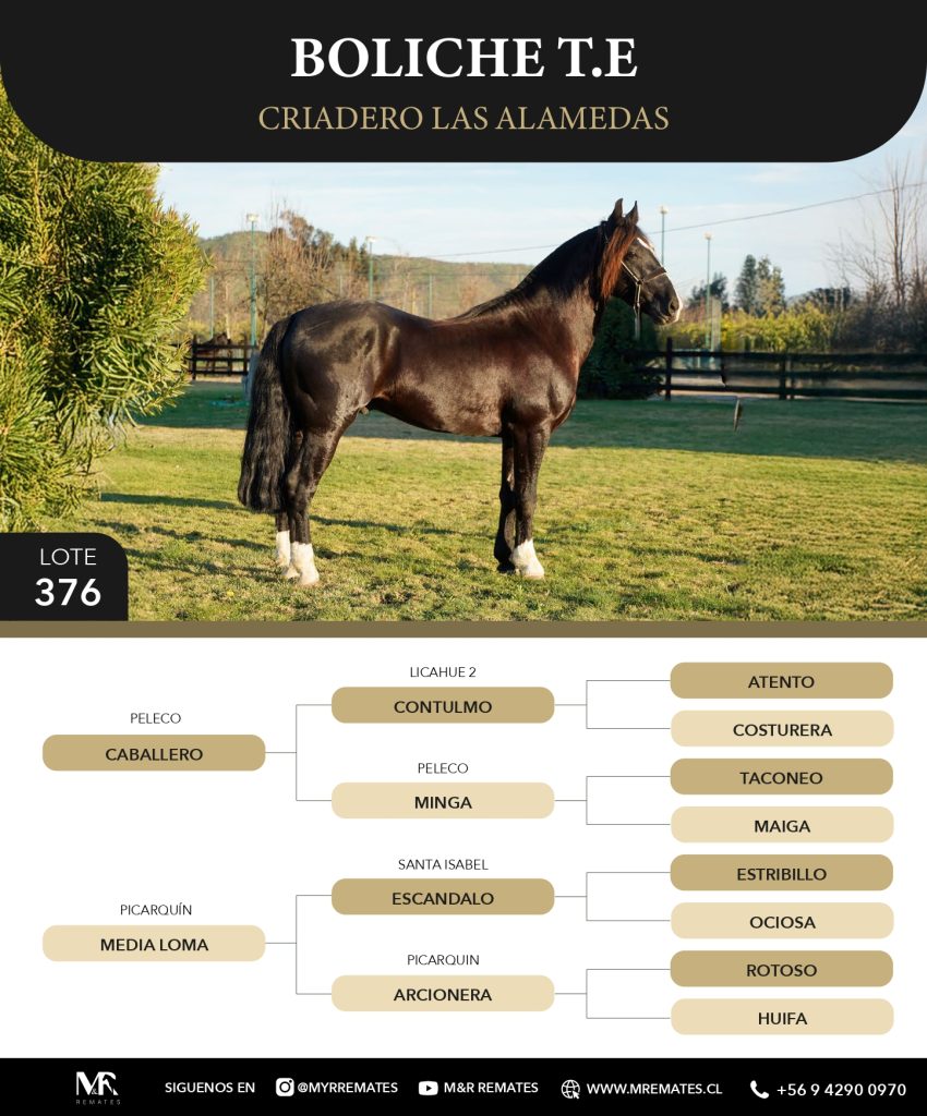 Catalogo_Criadero_Las_Alamedas-3_page-0015