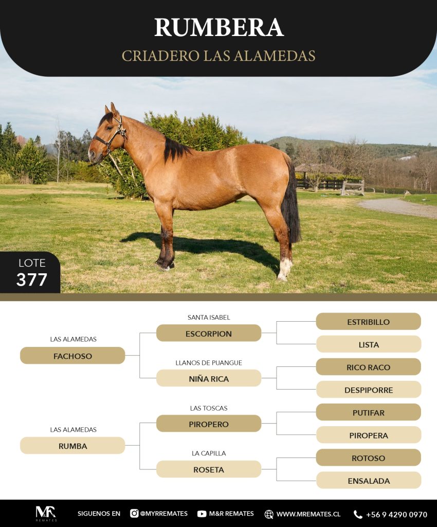 Catalogo_Criadero_Las_Alamedas-3_page-0017