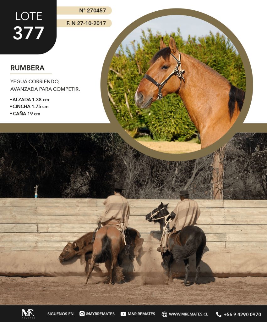 Catalogo_Criadero_Las_Alamedas-3_page-0018