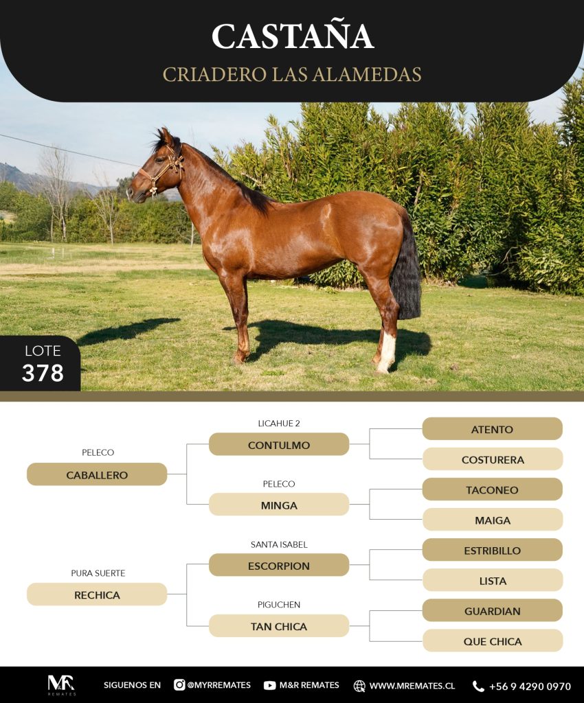 Catalogo_Criadero_Las_Alamedas-3_page-0019
