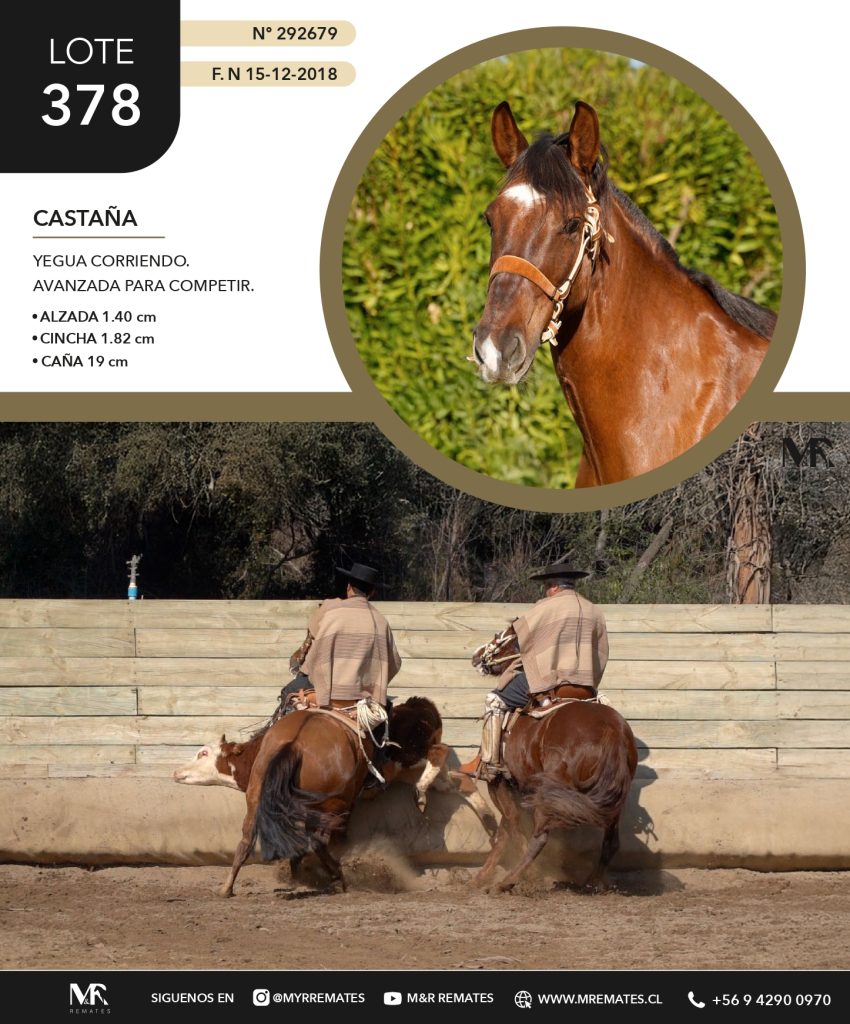 Catalogo_Criadero_Las_Alamedas-3_page-0020