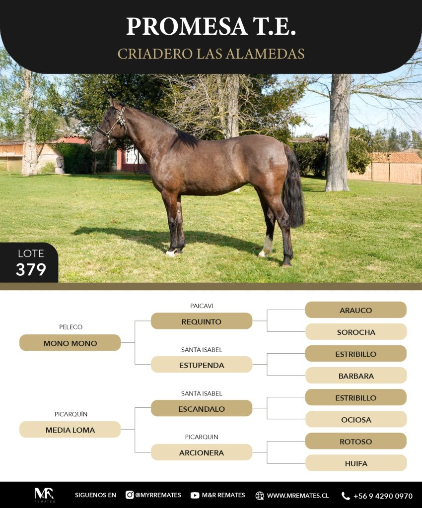 Catalogo_Criadero_Las_Alamedas-3_page-0022