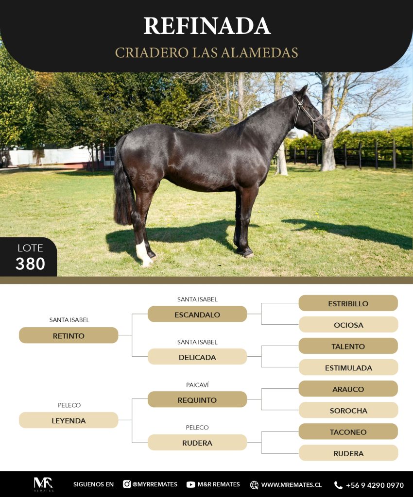 Catalogo_Criadero_Las_Alamedas-3_page-0024
