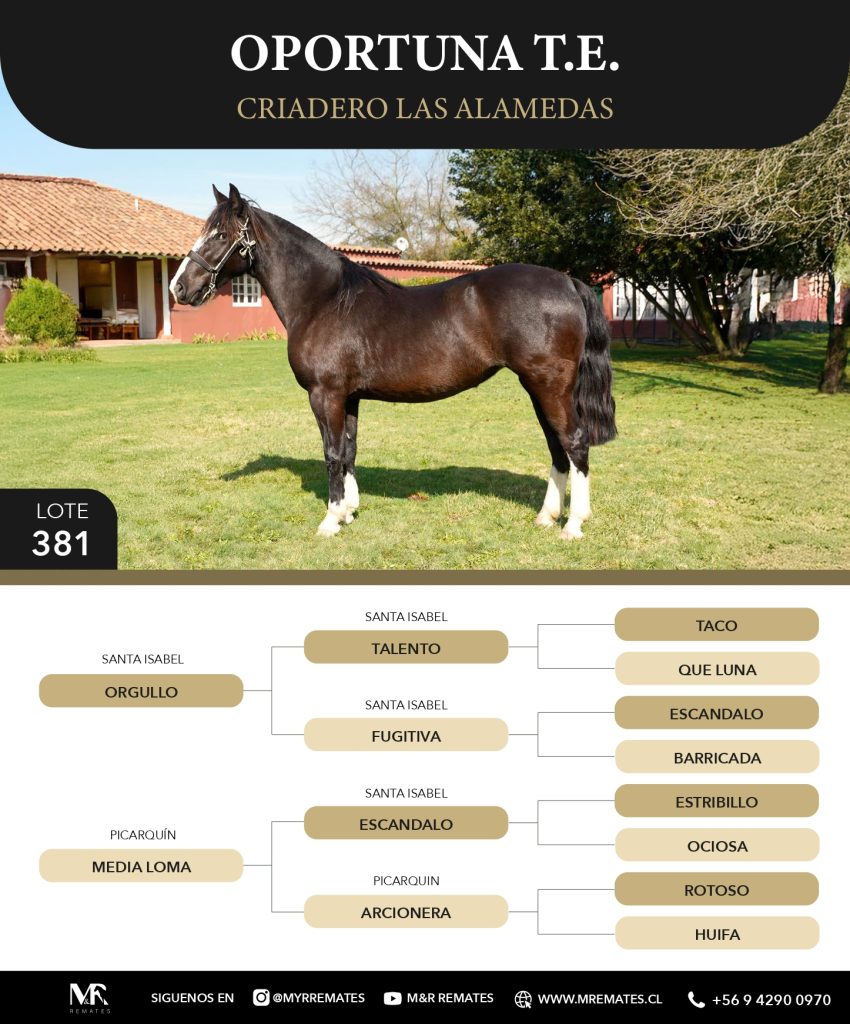 Catalogo_Criadero_Las_Alamedas-3_page-0026