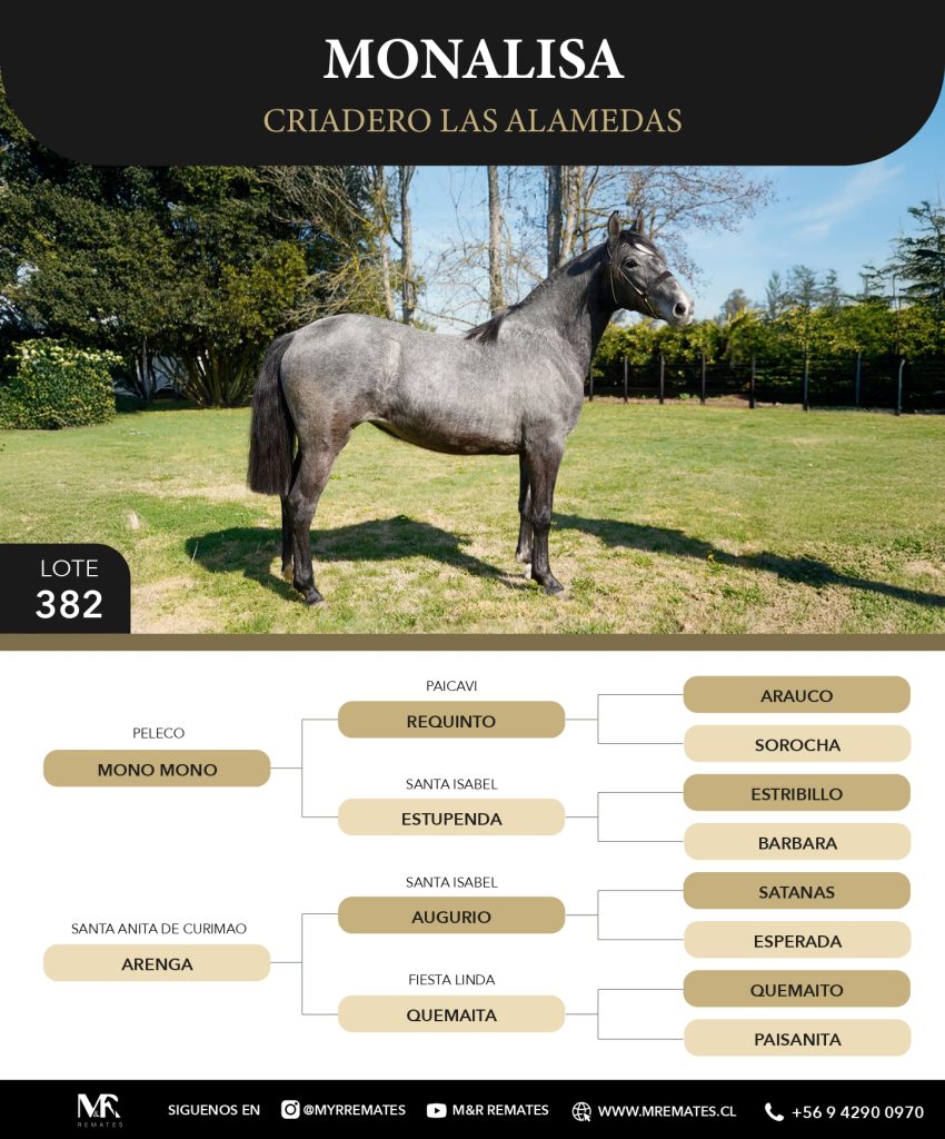 Catalogo_Criadero_Las_Alamedas-3_page-0028