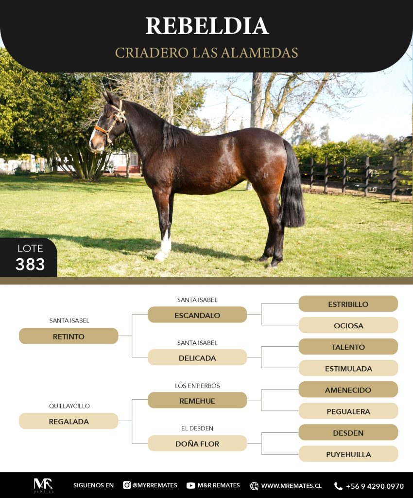 Catalogo_Criadero_Las_Alamedas-3_page-0030