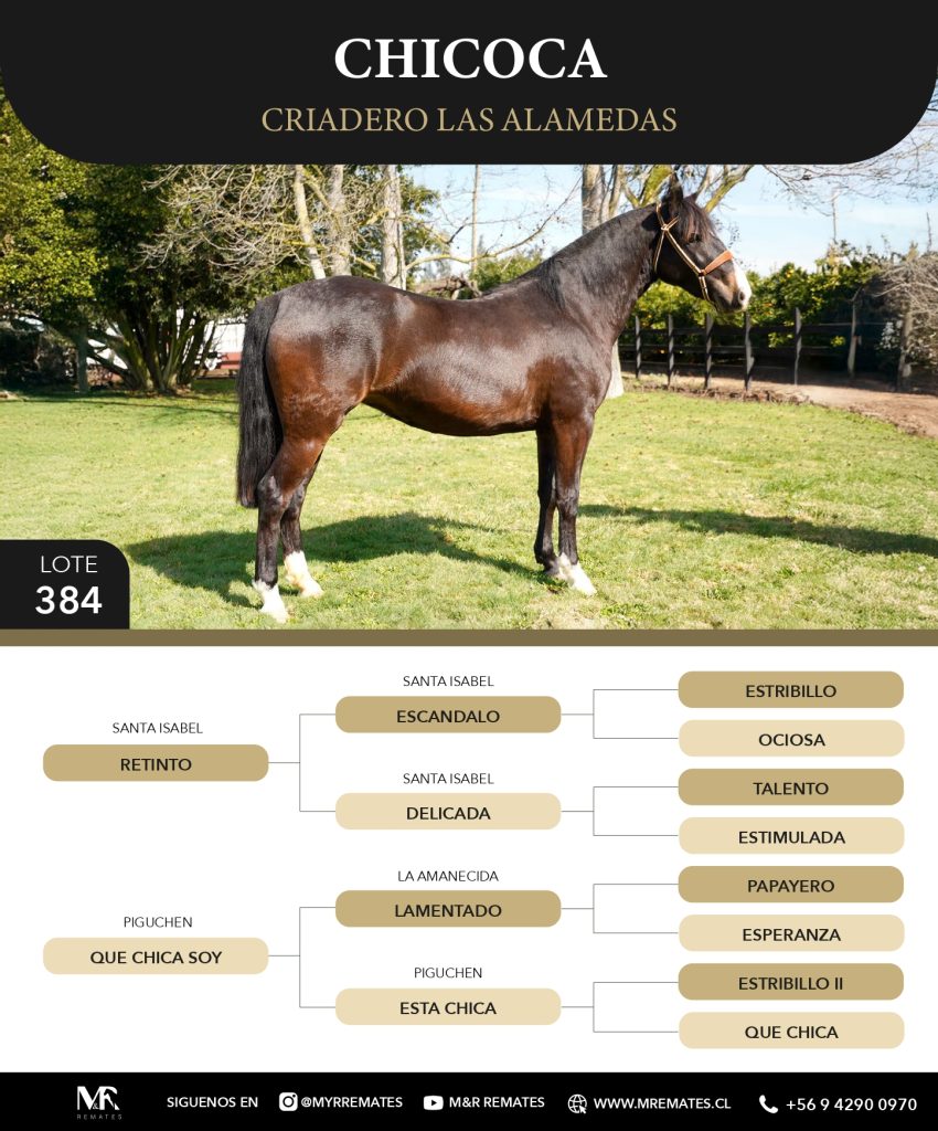 Catalogo_Criadero_Las_Alamedas-3_page-0032
