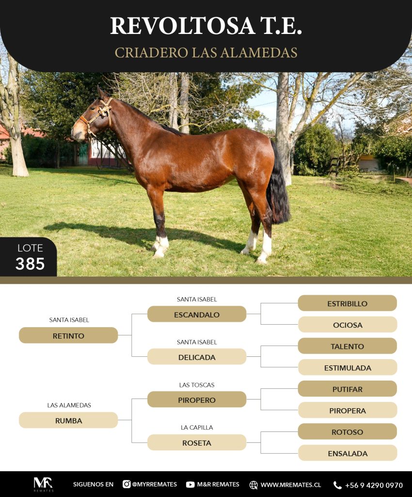 Catalogo_Criadero_Las_Alamedas-3_page-0034