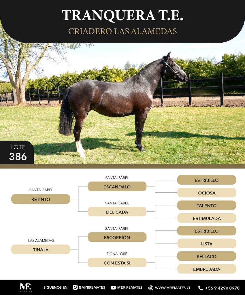 Catalogo_Criadero_Las_Alamedas-3_page-0036