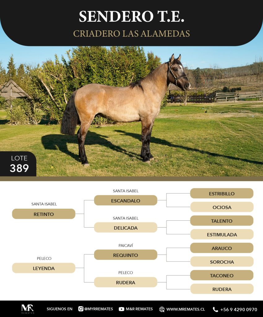 Catalogo_Criadero_Las_Alamedas-3_page-0043