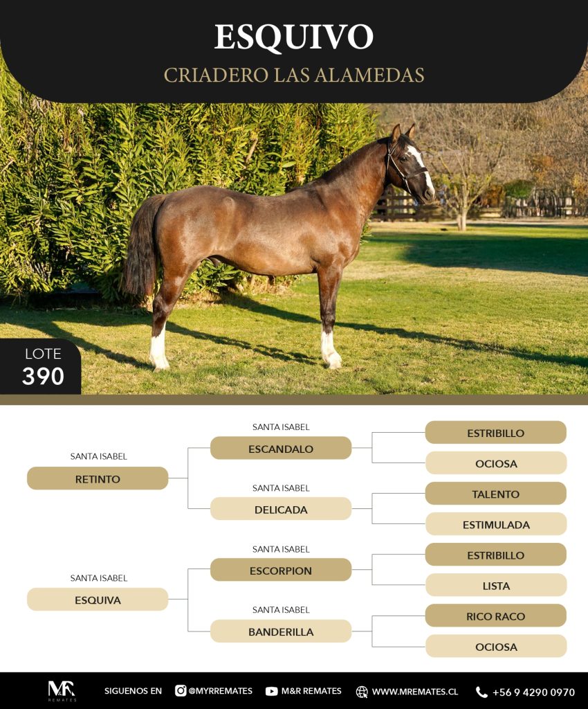 Catalogo_Criadero_Las_Alamedas-3_page-0045
