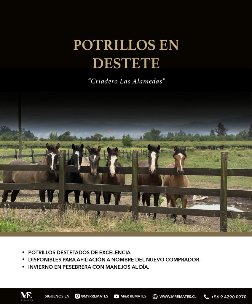Catalogo_Criadero_Las_Alamedas-3_page-0047