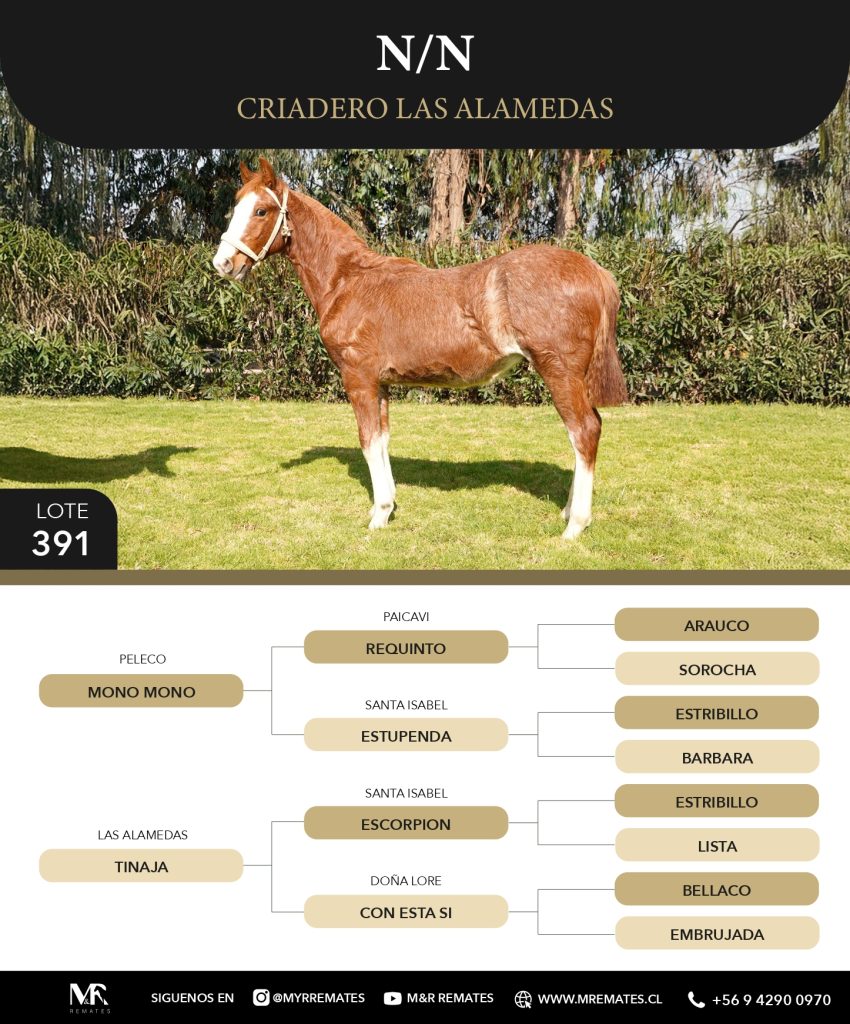Catalogo_Criadero_Las_Alamedas-3_page-0048