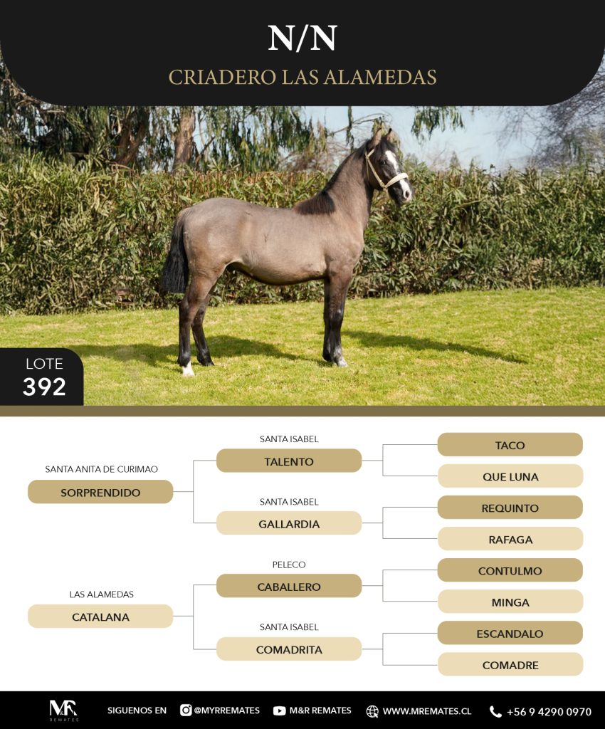 Catalogo_Criadero_Las_Alamedas-3_page-0050