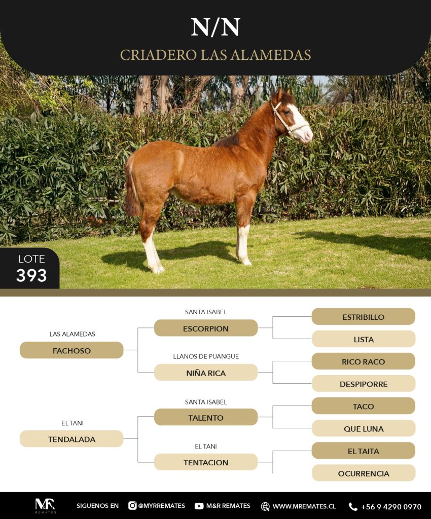 Catalogo_Criadero_Las_Alamedas-3_page-0052