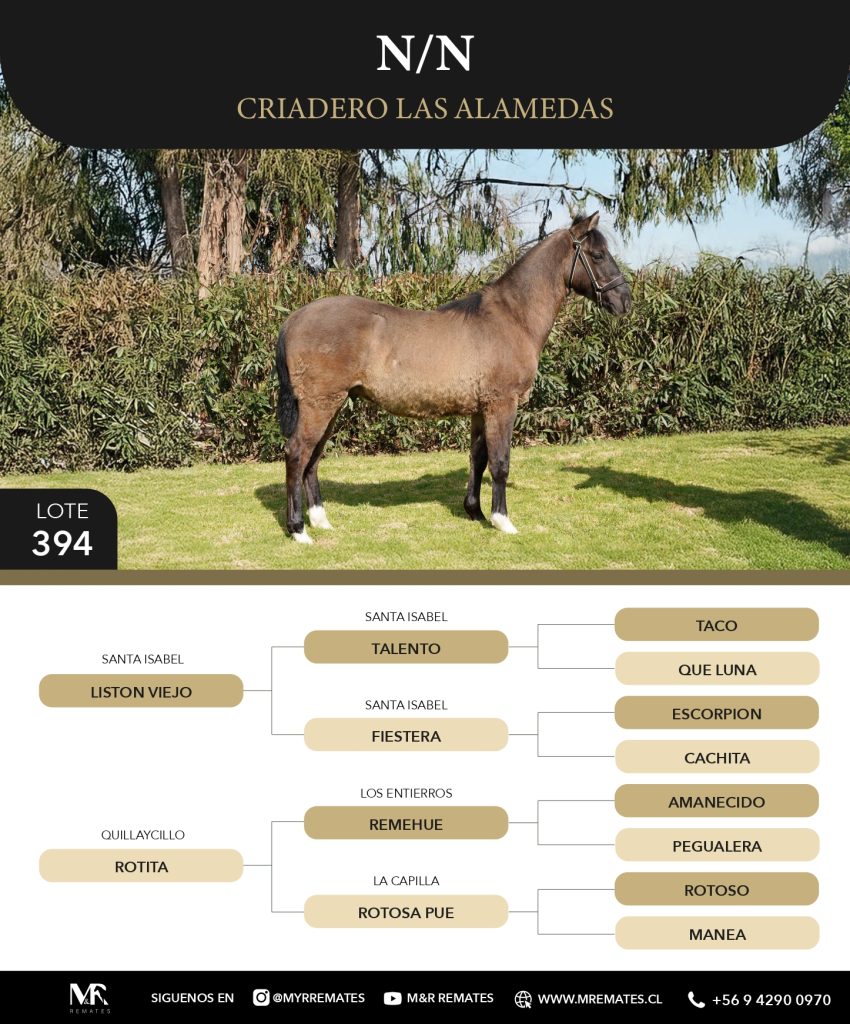 Catalogo_Criadero_Las_Alamedas-3_page-0054