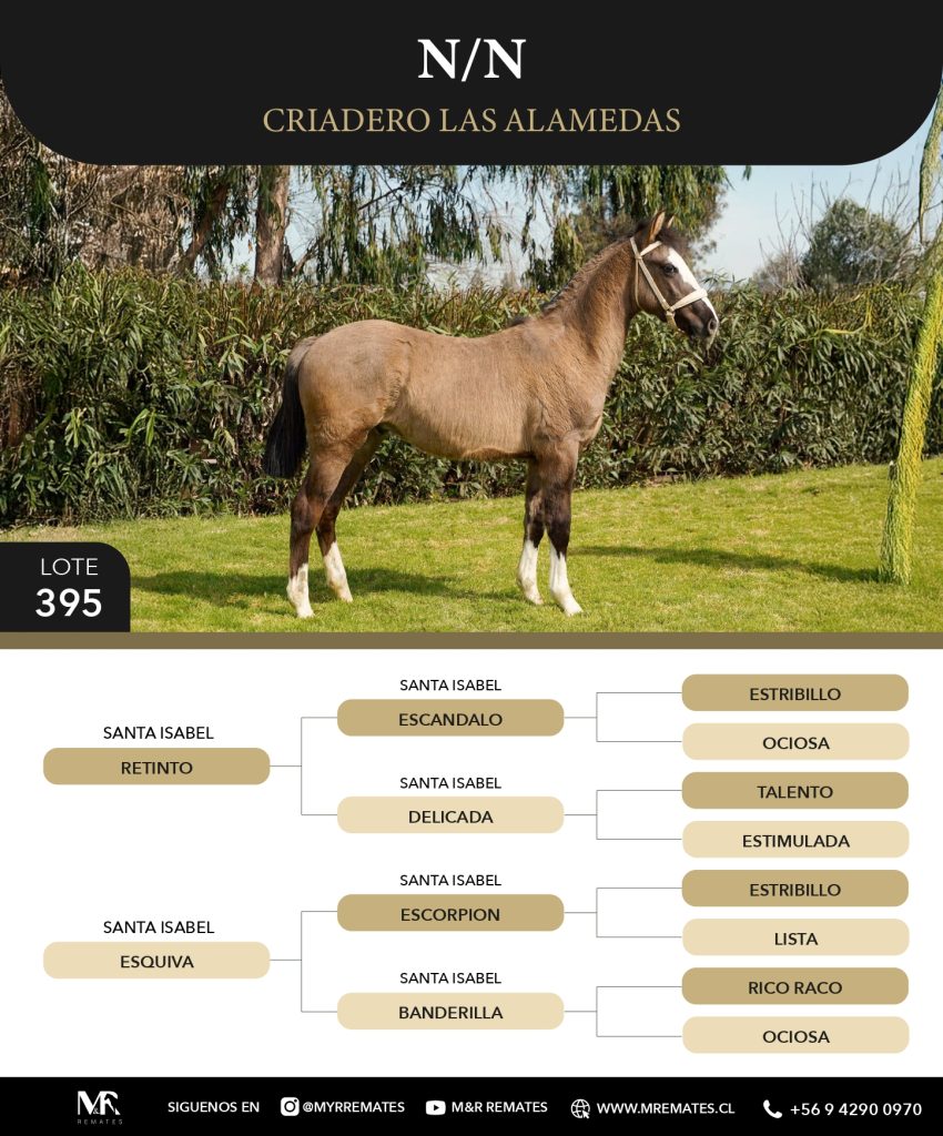 Catalogo_Criadero_Las_Alamedas-3_page-0056