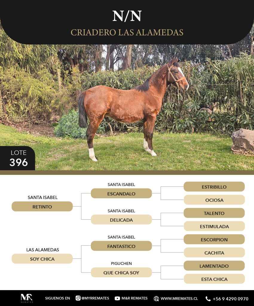 Catalogo_Criadero_Las_Alamedas-3_page-0058