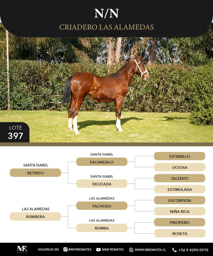Catalogo_Criadero_Las_Alamedas-3_page-0060