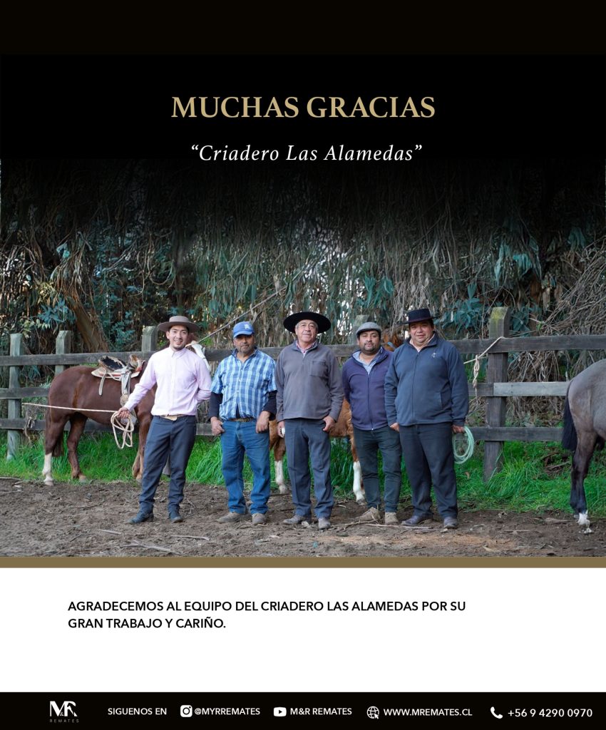 Catalogo_Criadero_Las_Alamedas-3_page-0062